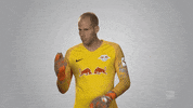 rb leipzig GIF by Bundesliga