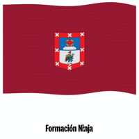 Pais Vasco Flag GIF by Formación Ninja