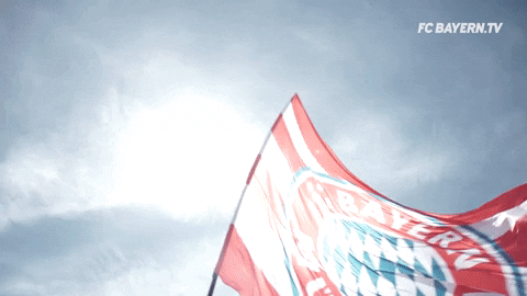 flag GIF by FC Bayern Munich