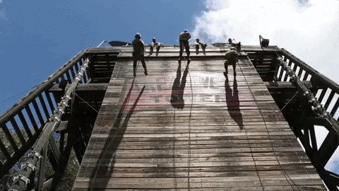Army Guard Jump GIF by NationalGuard