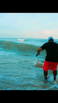 Florida Shark GIF by BossMan Dlow