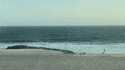 Beach Waves GIF by NeighborlyNotaryNYC