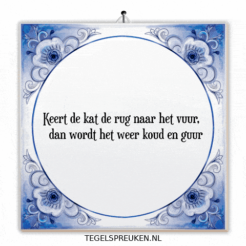 Kat Wijsheid GIF by Tegelspreuken.nl