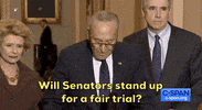 news impeachment senate impeachment trial chuck schumer GIF