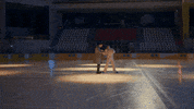 Happy Ice Skating GIF by Show TV
