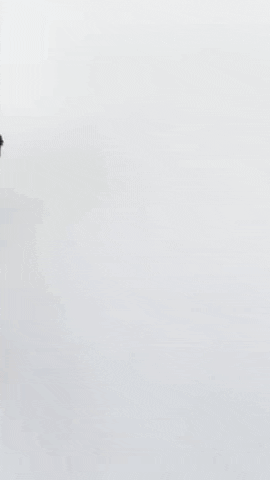 Nascar Racing Sport GIF by NASCAR