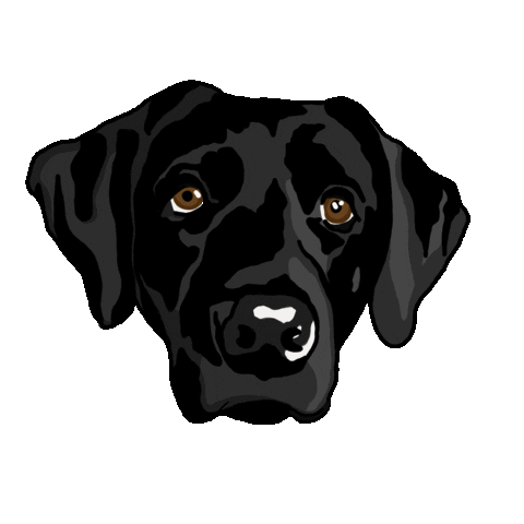 Black Lab Sticker by Catie Offerman