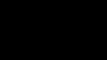 Title Animated Design Collection Series 14