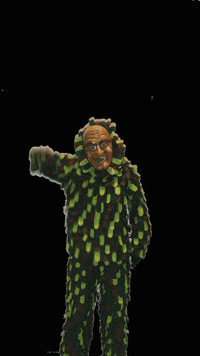 hopfendrescher narren fasend hopfedrescher GIF