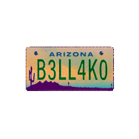 Music Festival Sticker by Baja Beach Fest