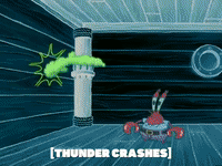season 5 GIF by SpongeBob SquarePants