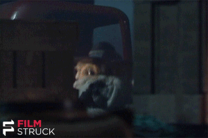 machine gun dogs GIF by FilmStruck