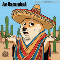 Oh No What GIF by Doge Pound