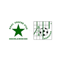 Sport Heerlen Sticker by Groene ster