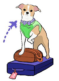 Dog Travel Sticker by Stefanie Shank