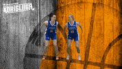 Basketball Hoops GIF by Basket_fi