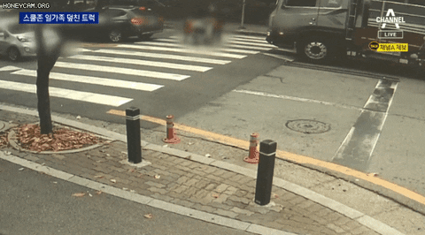 qwerpoiu22ppop giphyupload GIF