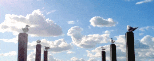 sky clouds GIF by Tara