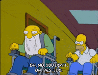 homer simpson race GIF
