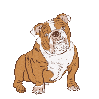 Eau Claire Bulldog Sticker by enchanted grdn