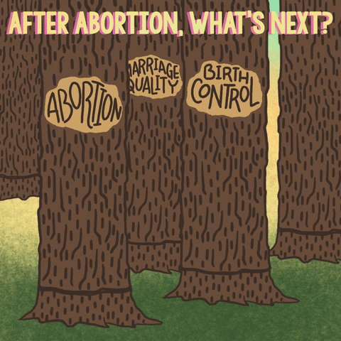 Digital art gif. Beneath the text, “After abortion, what’s next?” five trees tip over and fall, leaving only stumps behind against a green and yellow background. Three of the falling trees are labeled, “Abortion,” “Birth Control,” “Marriage Equality.”