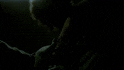 Drums Moving GIF by Porter Bliquez