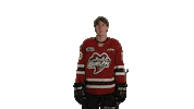 Guelph Sticker by GuelphStormHockey
