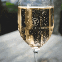 New Year Cheers GIF by Lucky To Live Here