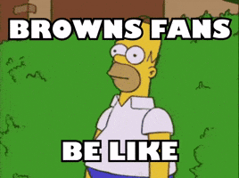 Cleveland Browns Nfl GIF by Respective