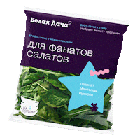 bdsalads salad salads салат белая дача Sticker