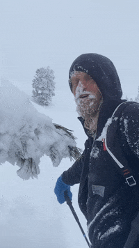 Markusan GIF by summitsplitboarding