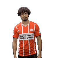 Football Celebrate Sticker by PSV