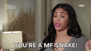 Snake Allblk GIF by We TV