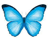 Fashion Spring Sticker by Breuninger