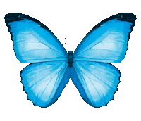 Fashion Spring Sticker by Breuninger