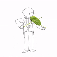 Concert Musica GIF by cintascotch