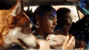 mitch i'm a dog GIF by Interscope Records