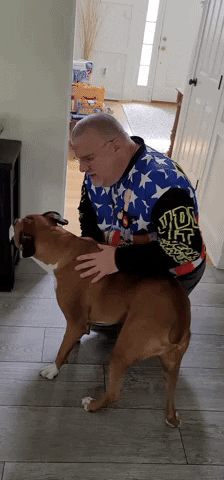 Dogs Puppy GIF by No Cheese Records