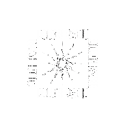 Sticker by ROUGH Radio