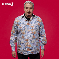 Oh My God Reaction GIF by SWR3
