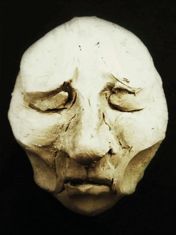 genevievelebel giphygifmaker GIF