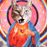 Art Nft GIF by Garbi KW