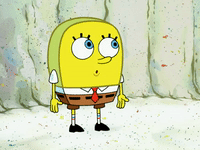 season 6 GIF by SpongeBob SquarePants