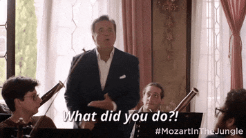 season 3 wtf GIF by Mozart In The Jungle