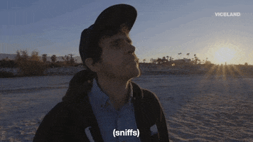 viceland GIF by ABANDONED