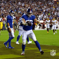 Happy New York GIF by NFL