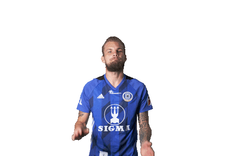 Football Soccer Sticker by FORTUNA:LIGA