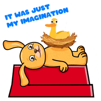 Happy Fun GIF by MyMorningDog