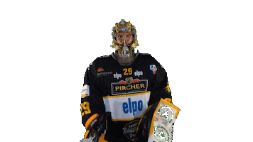 Hockey Win Sticker by HC Pustertal Wolves