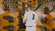 Baseball Bison GIF by NDSU Athletics